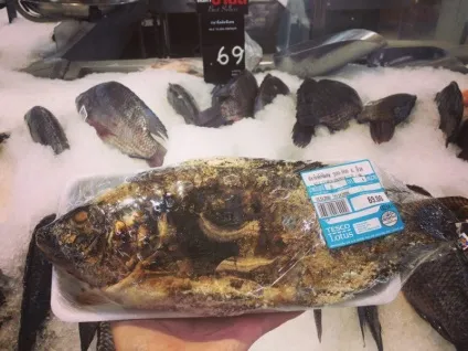 Ціни на продукти в Тайланді фото-екскурсія по магазинах (скільки коштує в Таїланді) Ціни на продукти в Тайланді фото-екскурсія по магазинам