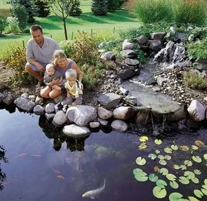 Розведення риби в штучних водоймах відповідні види і особливості рибоводних басейнів (водоймах) Розведення риби в штучних водоймах відповідні види і особливості рибоводних басейнів