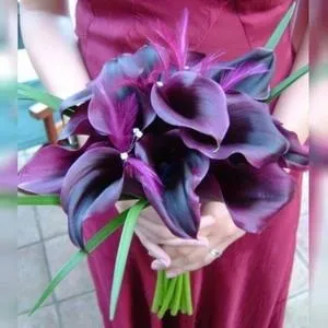 Пурпурний колір відтінки purple і різниця між ними, історія, нюанси використання в одязі і (відтінки) Пурпурний колір відтінки purple і різниця між ними, історія, нюанси використання в одязі і