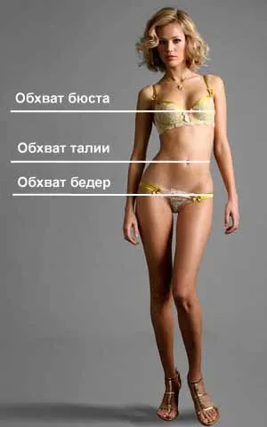 Розміри жіночих корсетів-таблиця розмірів (зробити правильний вибір) Розміри жіночих корсетів-таблиця розмірів