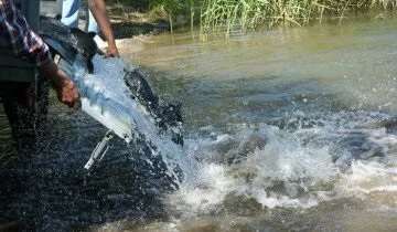 Розведення риби в штучних водоймах без великих витрат! (Штучних) Розведення риби в штучних водоймах без великих витрат!