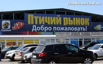 Пташиний ринок садівник в Москві, ринки Москви (москві) Пташиний ринок садівник в Москві, ринки москви