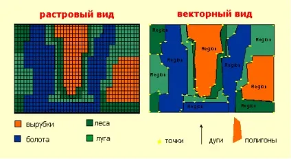 Растрова і векторна моделі даних