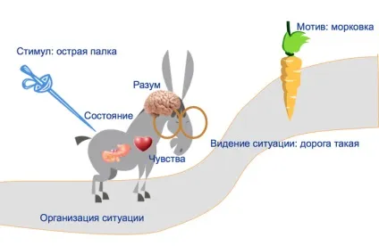 Психологія впливу - що це