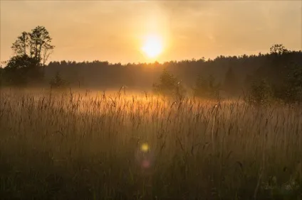 Світанок на Сулі, життя в русі (світанок) Світанок на Сулі, життя в русі