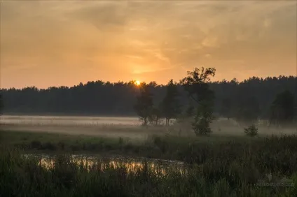Світанок на Сулі, життя в русі (світанок) Світанок на Сулі, життя в русі