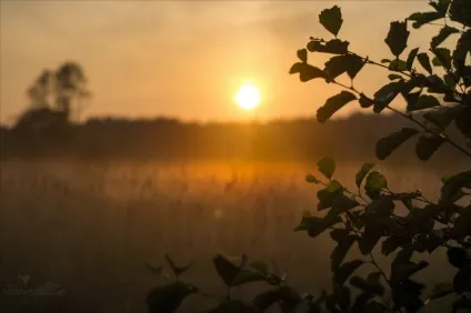 Світанок на Сулі, життя в русі (світанок) Світанок на Сулі, життя в русі