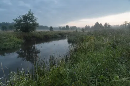 Світанок на Сулі, життя в русі (світанок) Світанок на Сулі, життя в русі