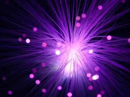 Пурпурний колір відтінки purple і різниця між ними, історія, нюанси використання в одязі і (колір) Пурпурний колір відтінки purple і різниця між ними, історія, нюанси використання в одязі і