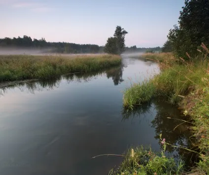 Світанок на Сулі, життя в русі (світанок) Світанок на Сулі, життя в русі