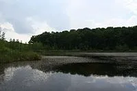 Чорний ліс