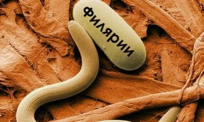Черви, паразити під шкірою людини (черви) Черви, паразити під шкірою людини