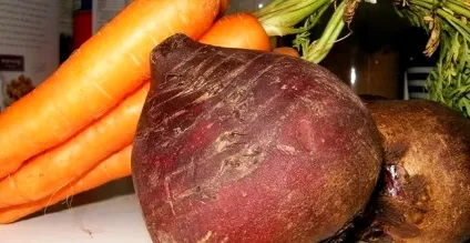 Чим можна годувати курчат при розведенні домашніх несучок