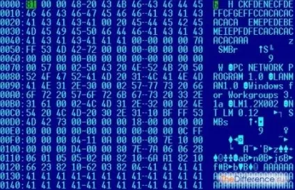 Чим відрізняються дані від програми