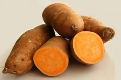 Чим корисний фіолетовий картопля - картопля фіолетовий сорти - продукти харчування (користь картоплі) Чим корисний фіолетовий картопля - картопля фіолетовий сорти - продукти харчування