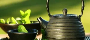 Що краще пити в лазні без шкоди для здоров'я рекомендації (здоров'я) Що краще пити в лазні без шкоди для здоров'я рекомендації