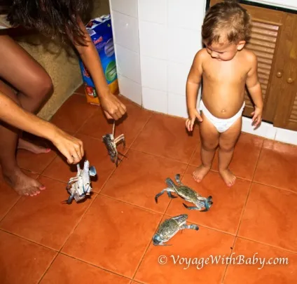 Що ми їмо в Таїланді і чим годуємо дитину в 1, 5-2 роки - voyagewithbaby - подорожі з дітьми (годуємо) Що ми їмо в Таїланді і чим годуємо дитину в 1, 5-2 роки - voyagewithbaby - подорожі з дітьми