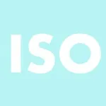 Що таке iso в камері телефону