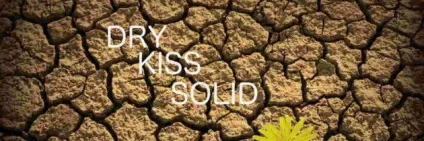 Що таке dry, die, kiss, solid, yagni терміни в програмуванні