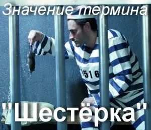 Що значить шістка як зрозуміти слово шістка на зоні походження