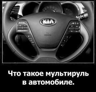 Що таке мультируль в автомобілі дізнаюся своє авто! (Автомобілі) Що таке мультируль в автомобілі дізнаюся своє авто!