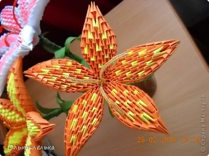 Чудо-лілії, країна майстрів