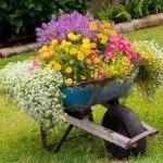 Квіткові клумби на дачі своїми руками фото з підручних засобів (дачі) Квіткові клумби на дачі своїми руками фото з підручних засобів
