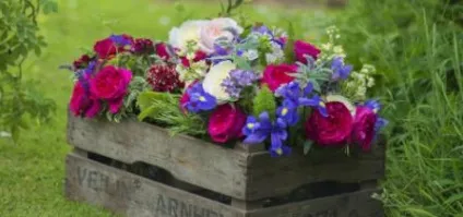Квіткові клумби на дачі своїми руками фото з підручних засобів (квіткові) Квіткові клумби на дачі своїми руками фото з підручних засобів