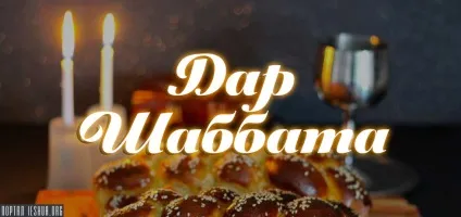 дар шаббата