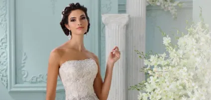 Daalarna - concept bride