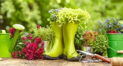 Квіткові клумби на дачі своїми руками фото з підручних засобів (дачі) Квіткові клумби на дачі своїми руками фото з підручних засобів