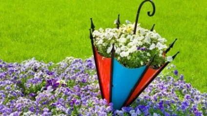 Квіткові клумби на дачі своїми руками фото з підручних засобів (дачі) Квіткові клумби на дачі своїми руками фото з підручних засобів