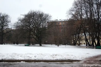 Цвітіння азалій в ботанічному саду Харкова (цвітіння) Цвітіння азалій в ботанічному саду Харкова