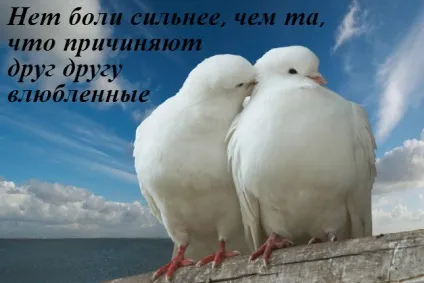 Цитати зі змістом о любви в картинках (любові) Цитати зі змістом о любви в картинках