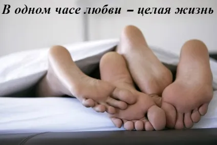 Цитати зі змістом о любви в картинках (любові) Цитати зі змістом о любви в картинках