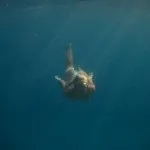 Дешевий і простий підводний фотобокс (цифровий фотоапарат експеримент цифромильниця бокс фотобокс підводний саморобний canon ixus мультіінструмент фотографія простий як зробити зйомки фотокамера своїми руками) Дешевий і простий підводний фотобокс