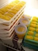 Дитяче харчування в домашніх умовах (дитяче) Дитяче харчування в домашніх умовах