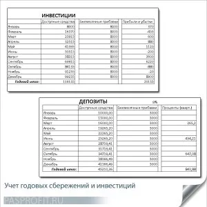 Домашня бухгалтерія - як правильно вести сімейну бухгалтерію (правильно) Домашня бухгалтерія - як правильно вести сімейну бухгалтерію