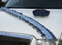 Джинсовий весілля