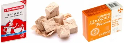 Дріжджі користь і шкода різних видів, як приймати (дріжджі) Дріжджі користь і шкода різних видів, як приймати