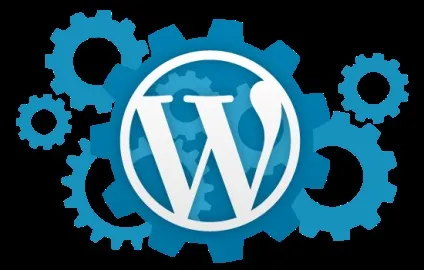 Два плагіна, які дозволять змінити шрифт в wordpress