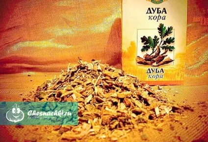 Дубова кора лікувальні властивості - рецепти при різних захворюваннях (лікувальні) Дубова кора лікувальні властивості - рецепти при різних захворюваннях