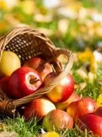 Чи їдять вегетаріанці рибу