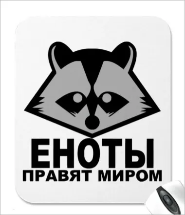 Єнот (єнотовидний собака) і єнот-полоскун, чим відрізняються
