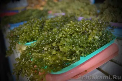 Екзотичні морепродукти як вибирати і як готувати (краби) Екзотичні морепродукти як вибирати і як готувати