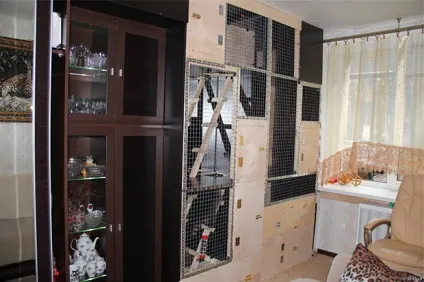Єнот в домашніх умовах