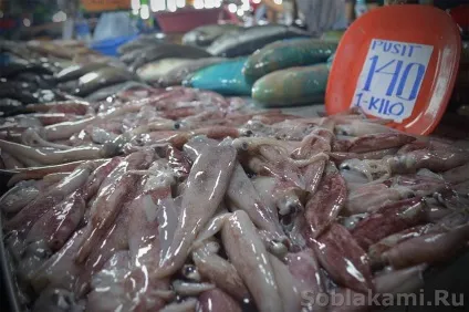 Екзотичні морепродукти як вибирати і як готувати (приготування морепродуктів) Екзотичні морепродукти як вибирати і як готувати