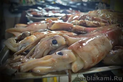 Екзотичні морепродукти як вибирати і як готувати (рапани) Екзотичні морепродукти як вибирати і як готувати