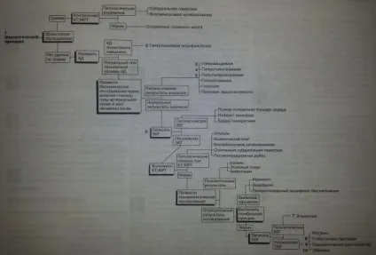 Епілептичні припадки - медичний довідник (припадки) Епілептичні припадки - медичний довідник