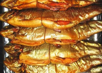 Електростатична коптильня своїми руками